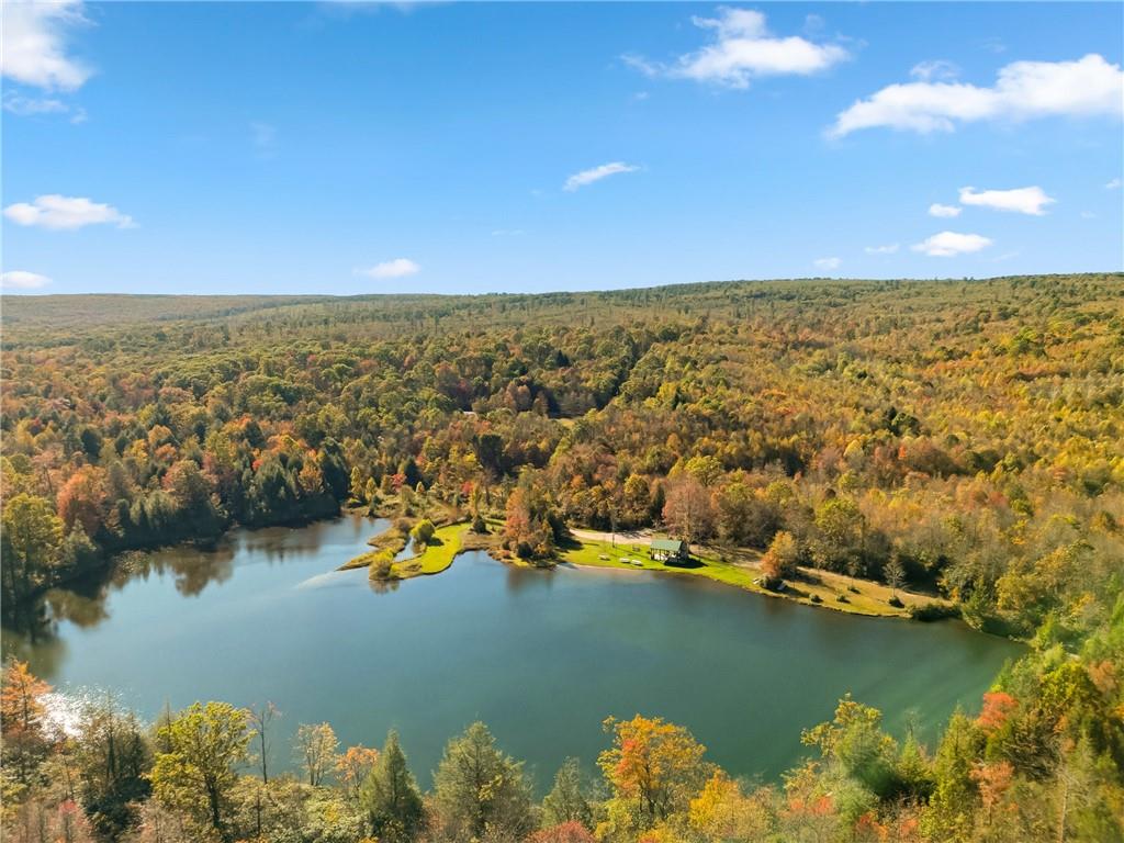 170 Fox Hill Road Meyersdale, PA 15552 - Photo 40 of 43 an aerial view of ocean and residential houses with outdoor space