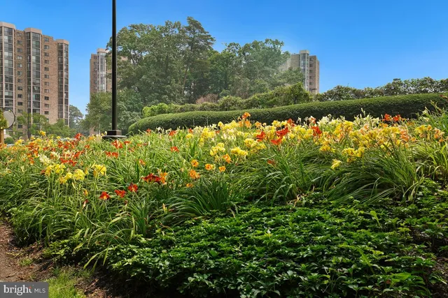 $484,500 | 5904 Mt Eagle Drive, Unit 105, Alexandria, VA 22303