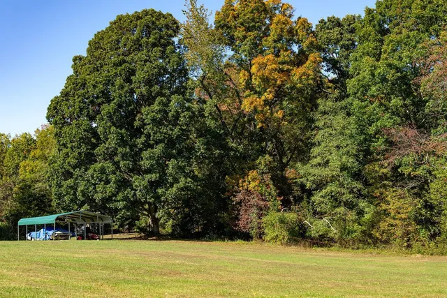 a view of house with trees