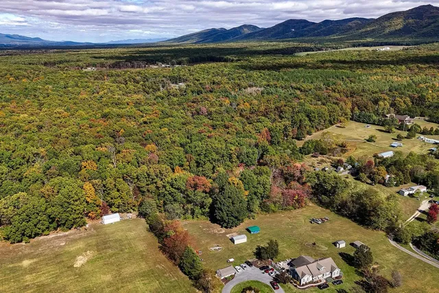a view of a large yard with a large tree