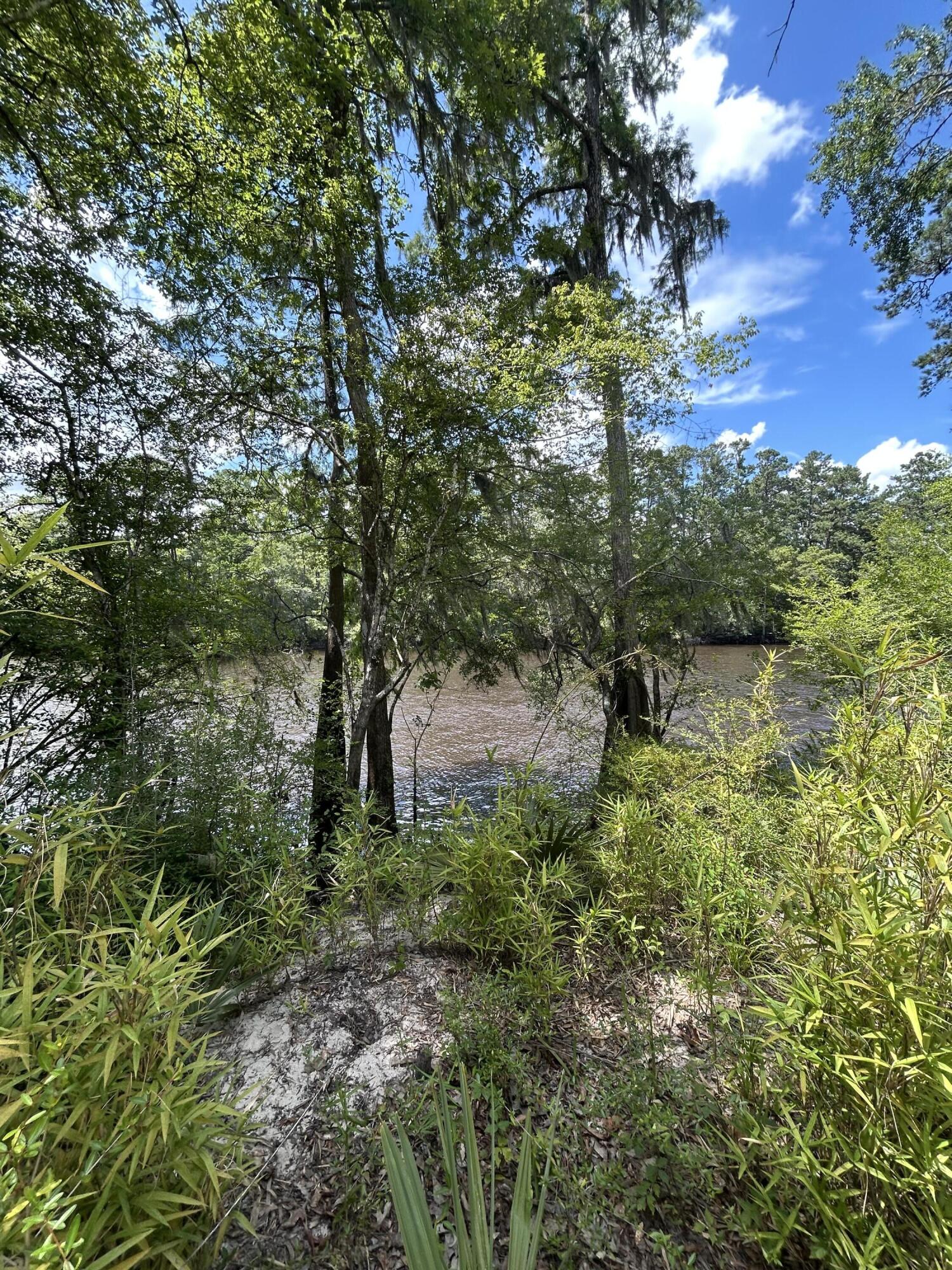 0 Shad Lane Ridgeville, SC 29472 - Photo 2 of 5 water access