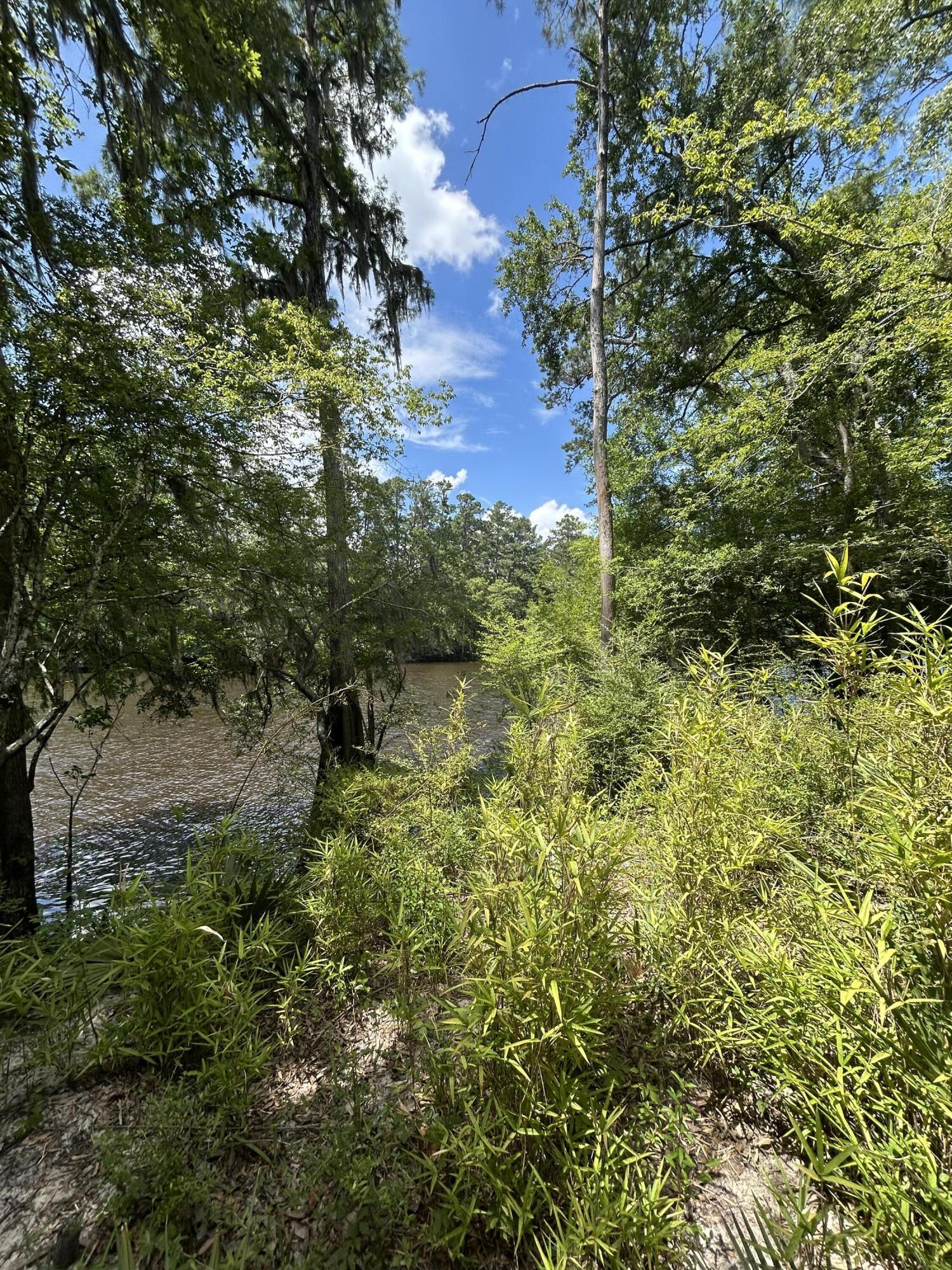 0 Shad Lane Ridgeville, SC 29472 - Photo 4 of 5 water view