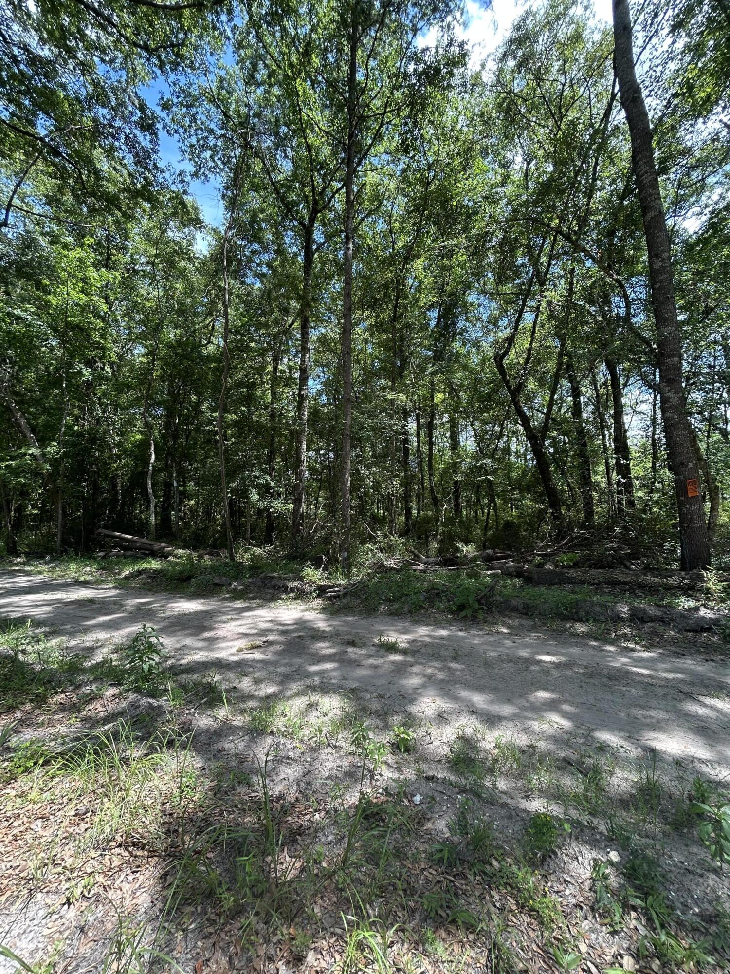 0 Shad Lane Ridgeville, SC 29472 - Photo 5 of 5 property