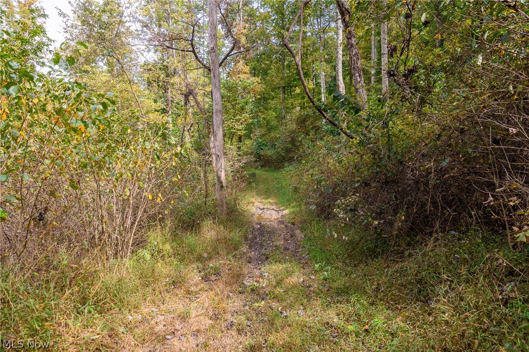 Lew Marten Road Summerfield, OH 43788 - Photo 44 of 50 Gallery Image 44