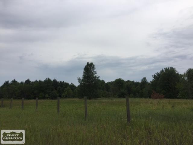 8529 Smiths Creek Road Goodells, MI 48027 - Photo 2 of 8