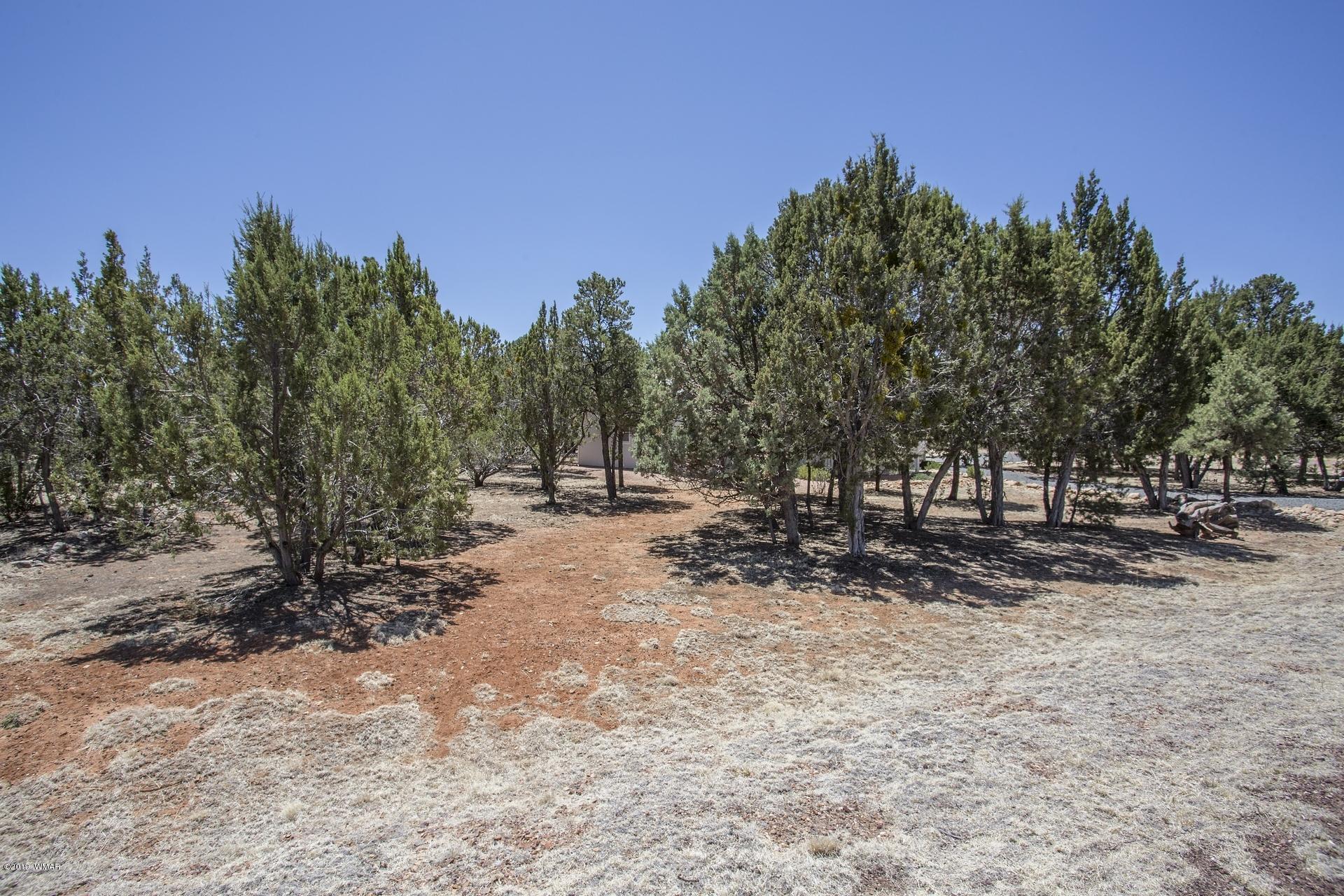 2275 Sunrise Road, Unit 362 Overgaard, AZ 85933 - Photo 25 of 33