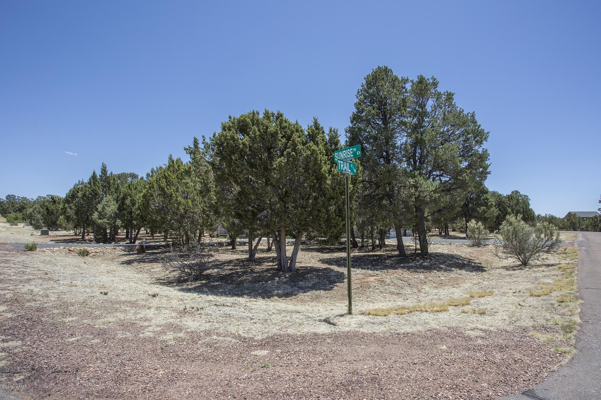 2275 Sunrise Road, Unit 362 Overgaard, AZ 85933 - Photo 27 of 33