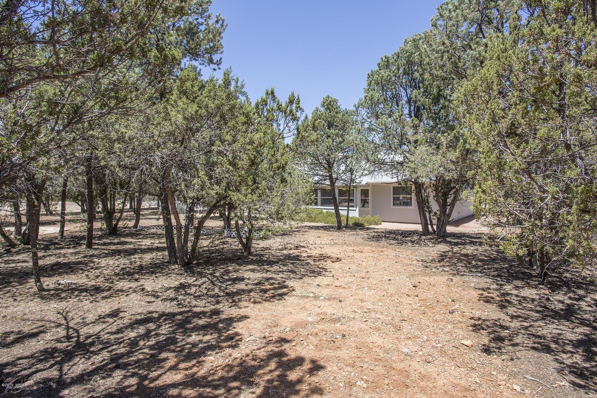 2275 Sunrise Road, Unit 362 Overgaard, AZ 85933 - Photo 32 of 33