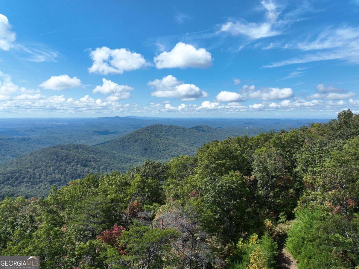 247 Andes Ridge Talking Rock, GA 30175 - Photo 1 of 1
