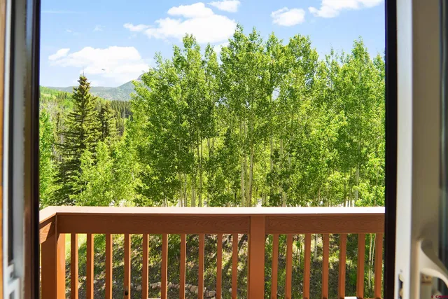 a view of a yard with plants