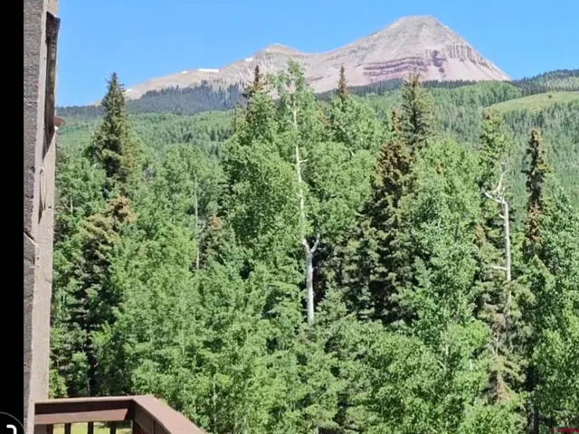 a view of a lush green field
