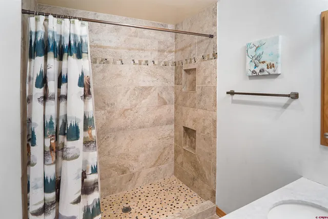 a bathroom with a shower and a toilet