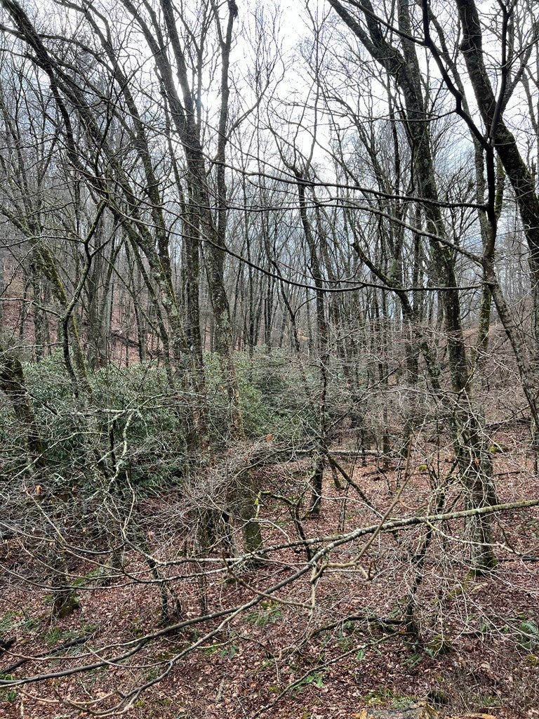 9637 Dugspur Road Laurel Fork, VA 24352 - Photo 29 of 32 Gallery Image 29