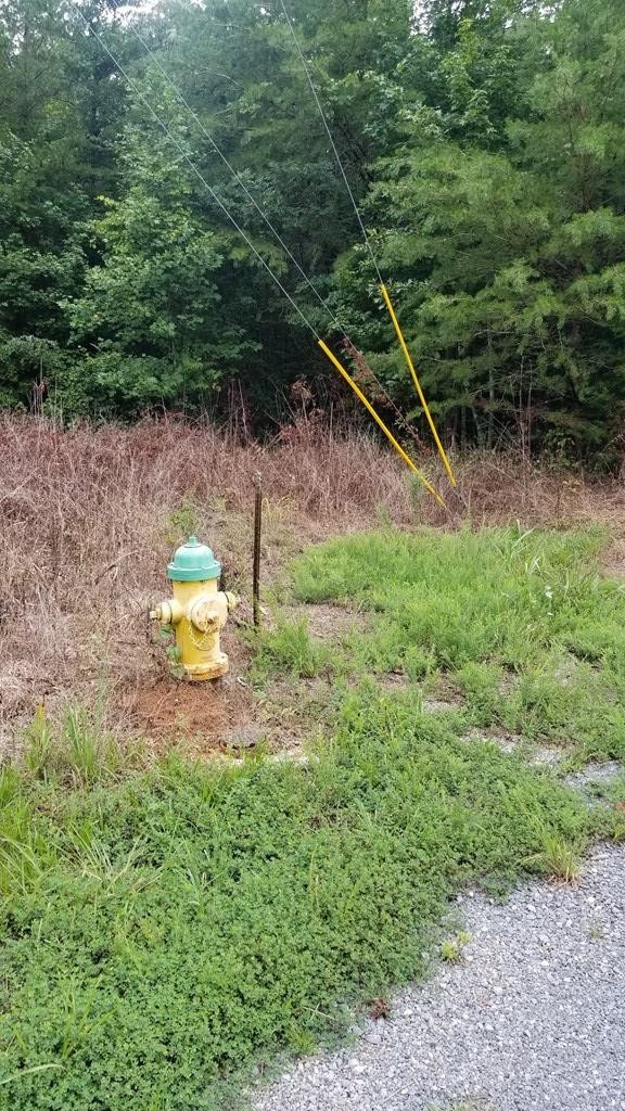 1270 Stump Hollow Road Spring City, TN 37381 - Photo 3 of 15 Gallery Image 3