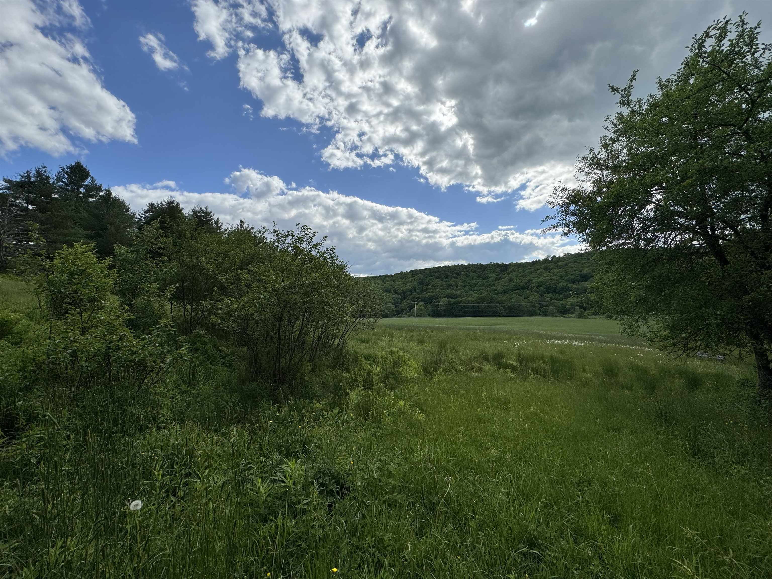 0 Happy Haven Road, Unit LOT 45 Wilmington, VT 05363 - Photo 11 of 33