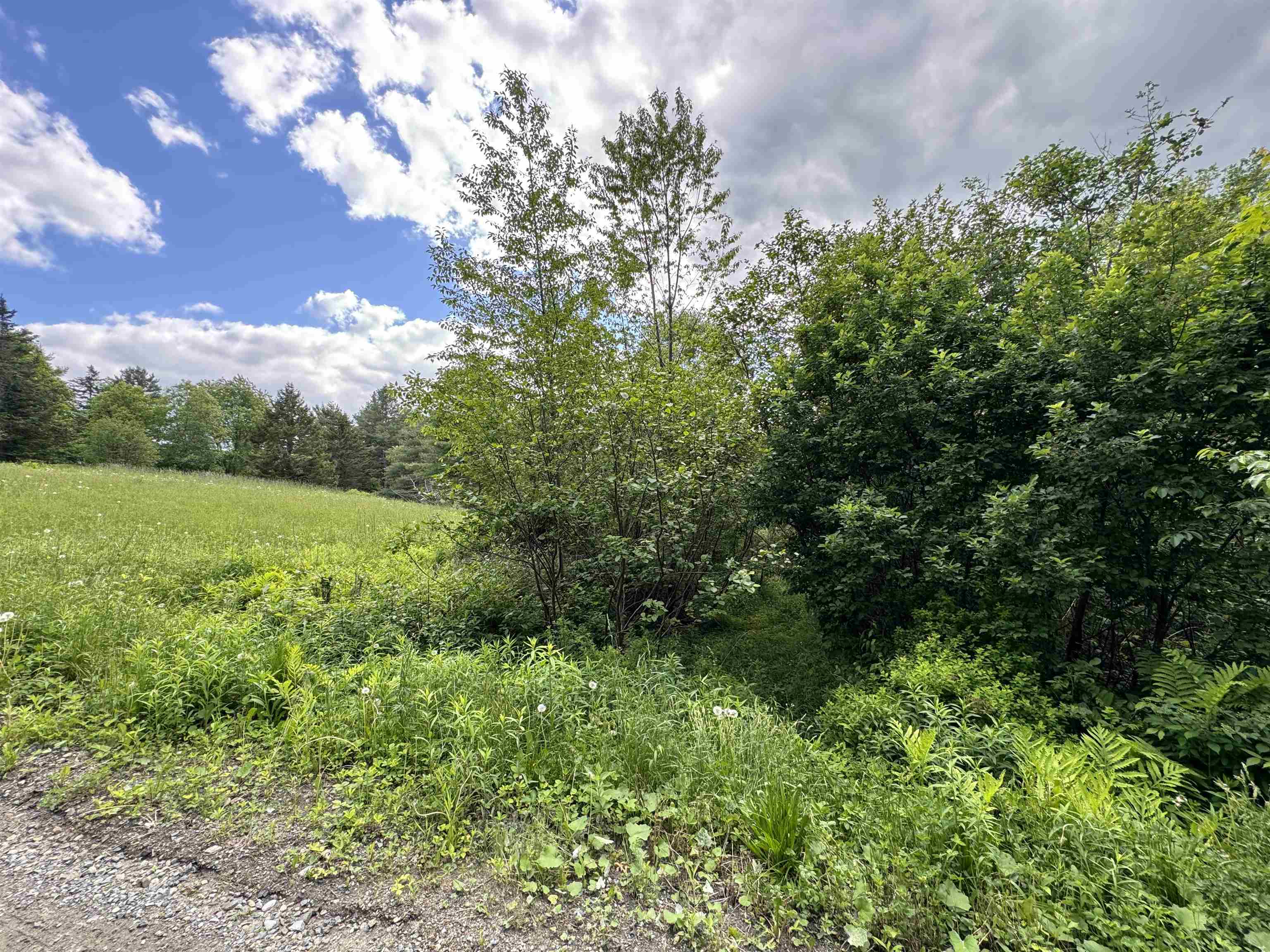 0 Happy Haven Road, Unit LOT 45 Wilmington, VT 05363 - Photo 12 of 33