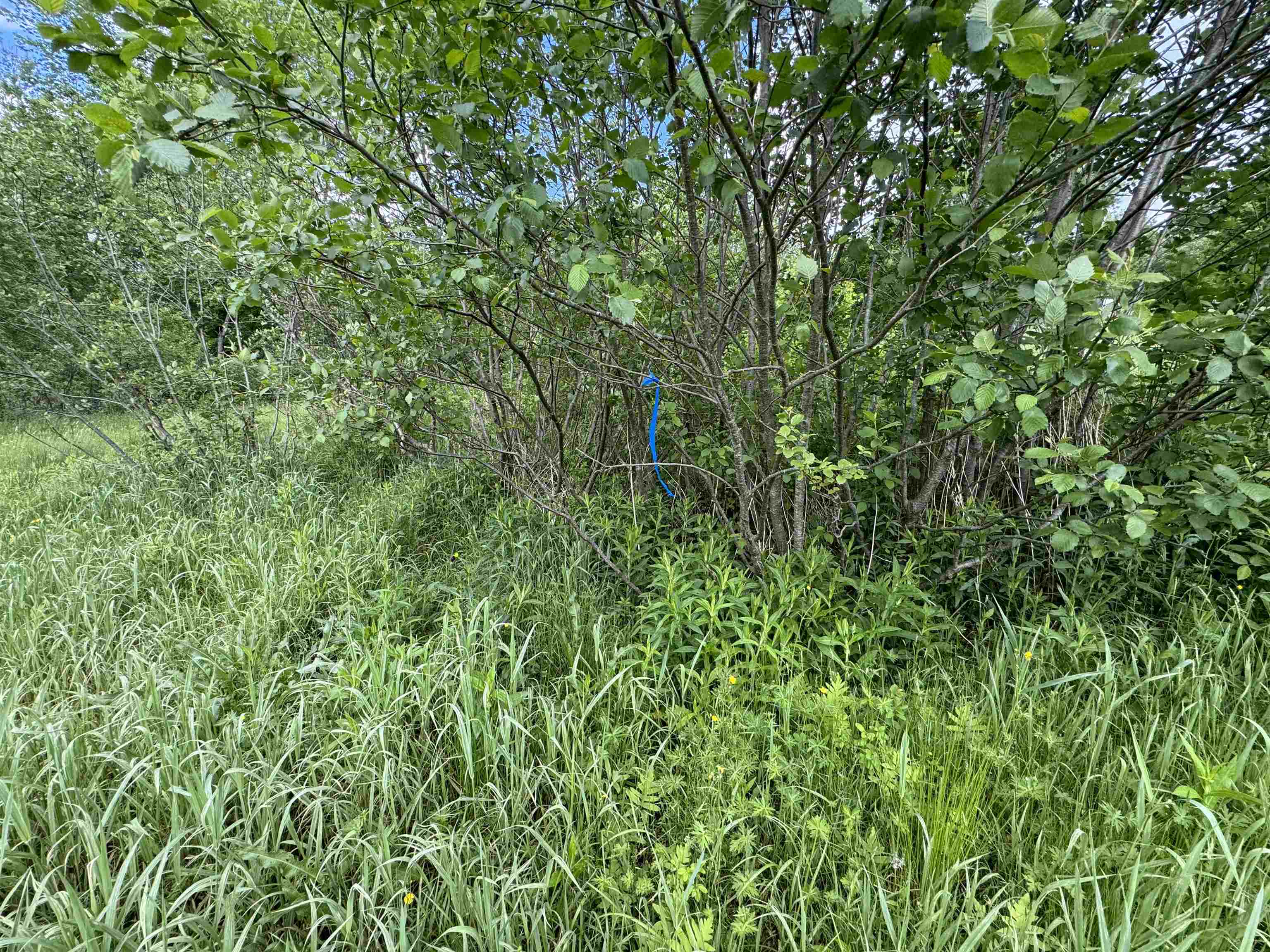 0 Happy Haven Road, Unit LOT 45 Wilmington, VT 05363 - Photo 14 of 33