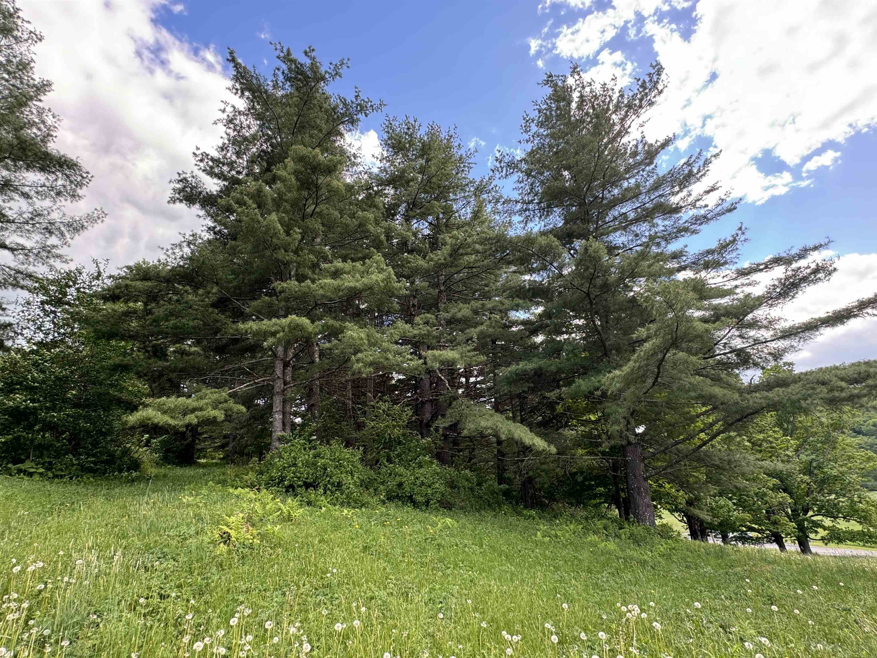 0 Happy Haven Road, Unit LOT 45 Wilmington, VT 05363 - Photo 17 of 33