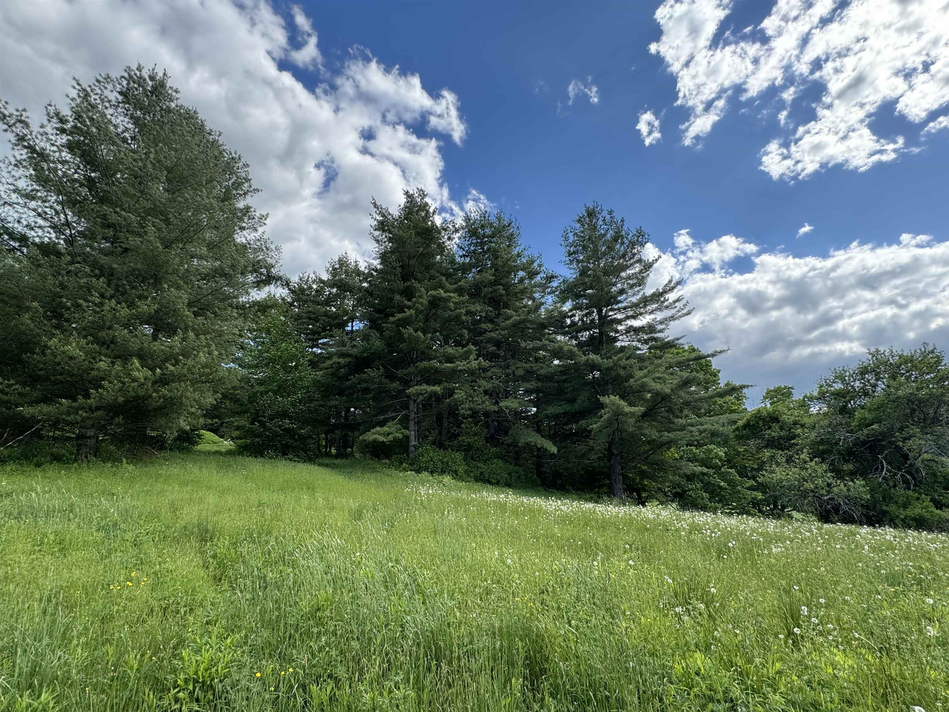 0 Happy Haven Road, Unit LOT 45 Wilmington, VT 05363 - Photo 18 of 33