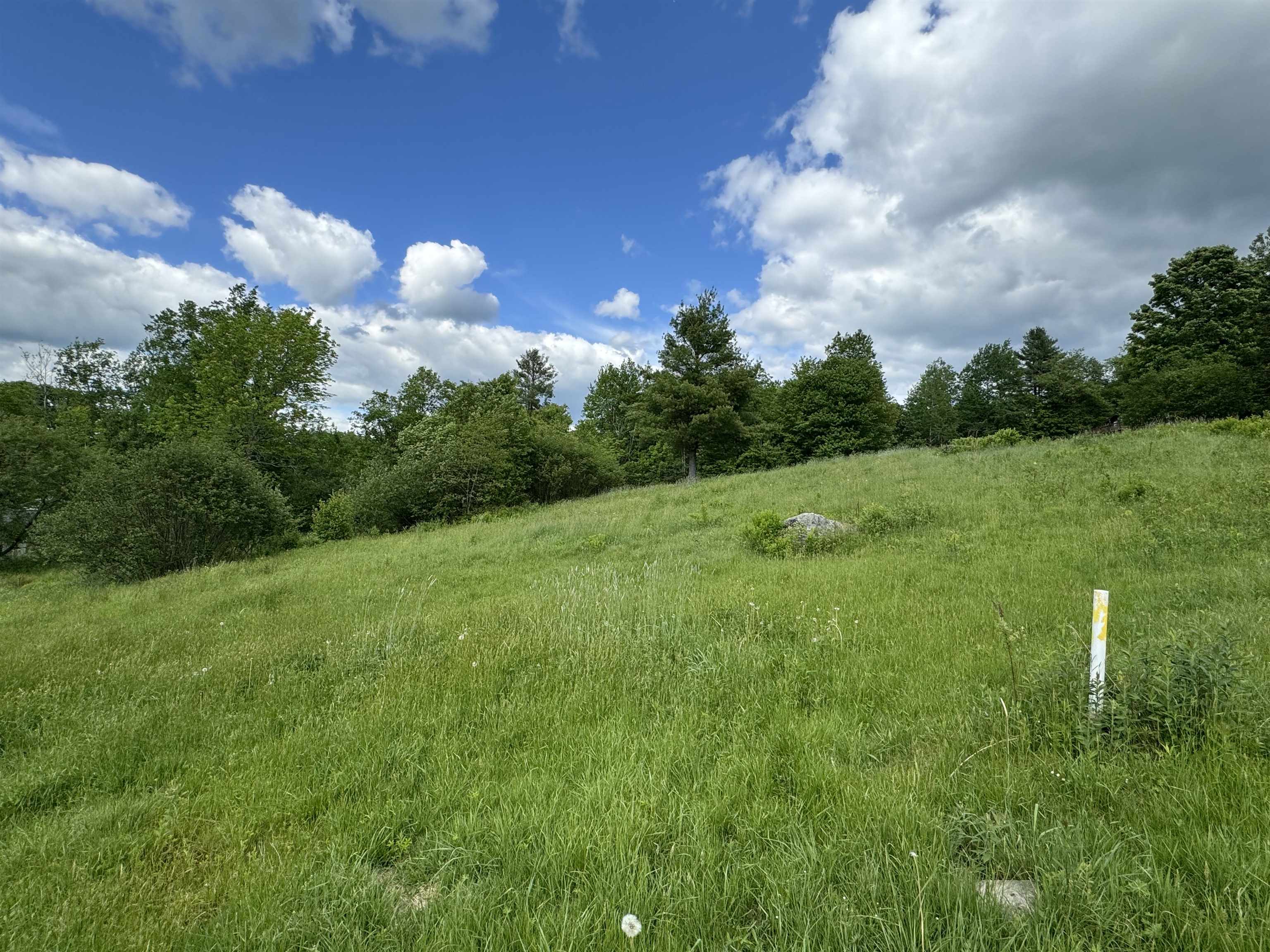 0 Happy Haven Road, Unit LOT 45 Wilmington, VT 05363 - Photo 19 of 33