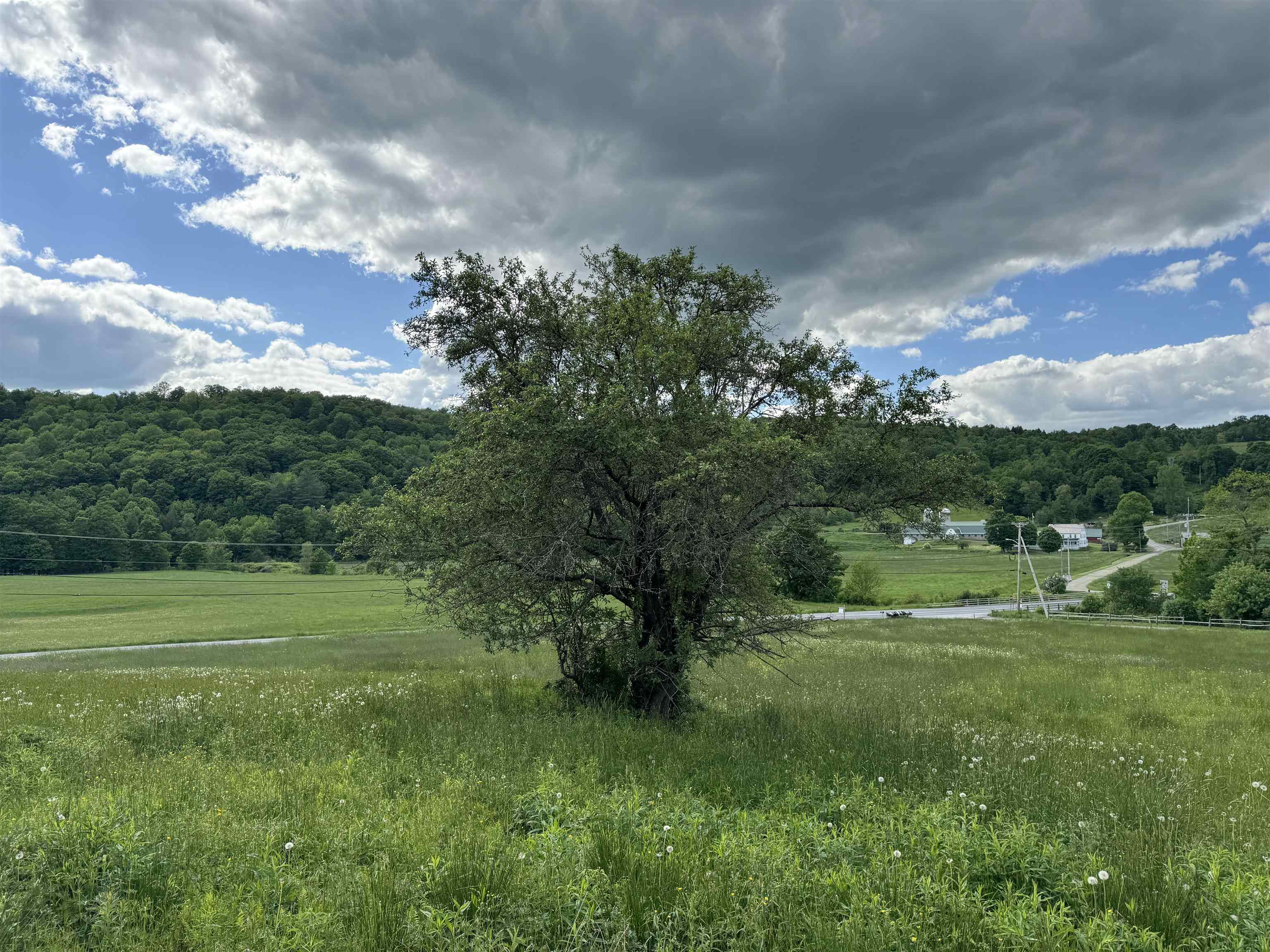 0 Happy Haven Road, Unit LOT 45 Wilmington, VT 05363 - Photo 22 of 33