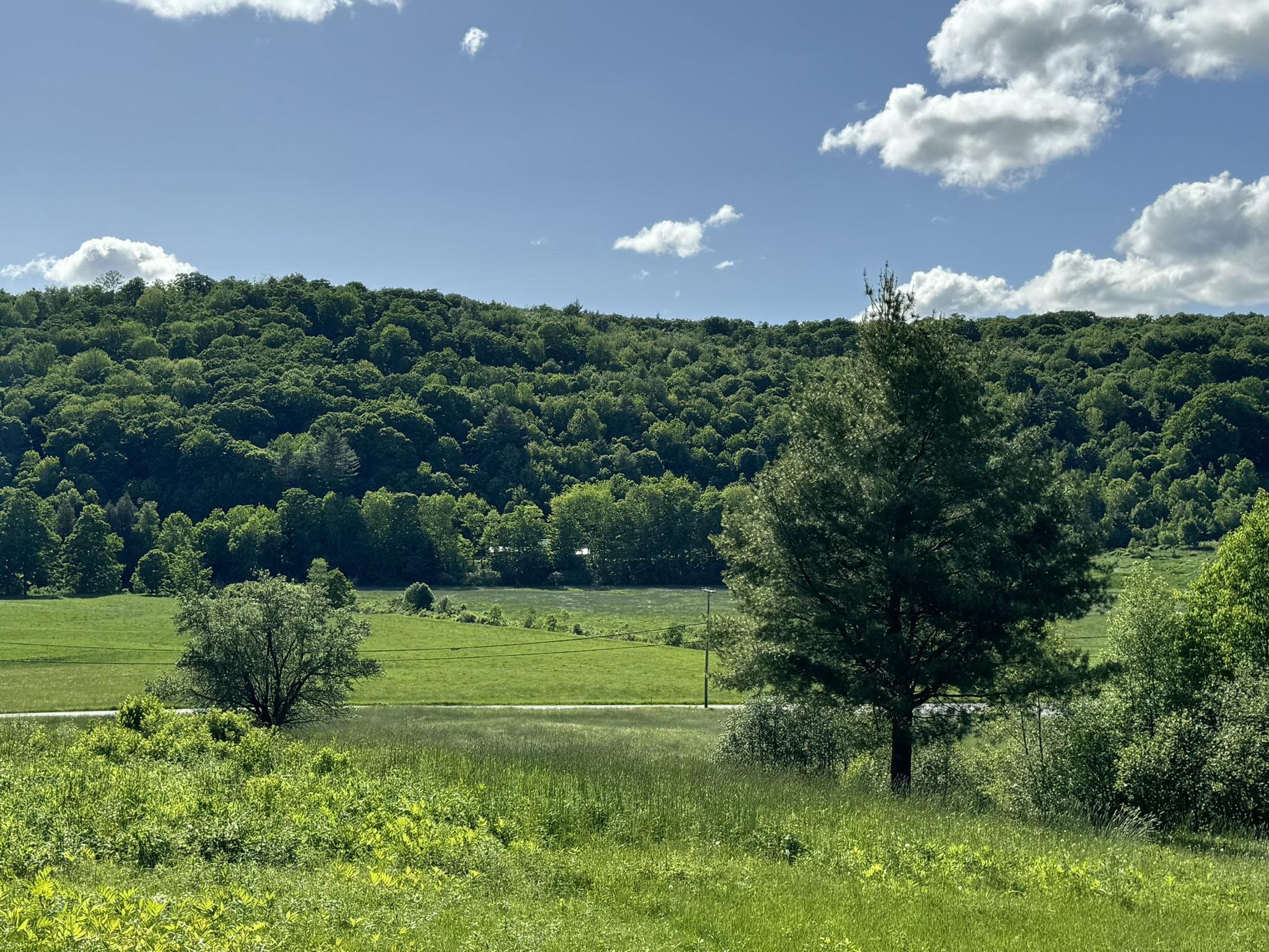 0 Happy Haven Road, Unit LOT 45 Wilmington, VT 05363 - Photo 9 of 33