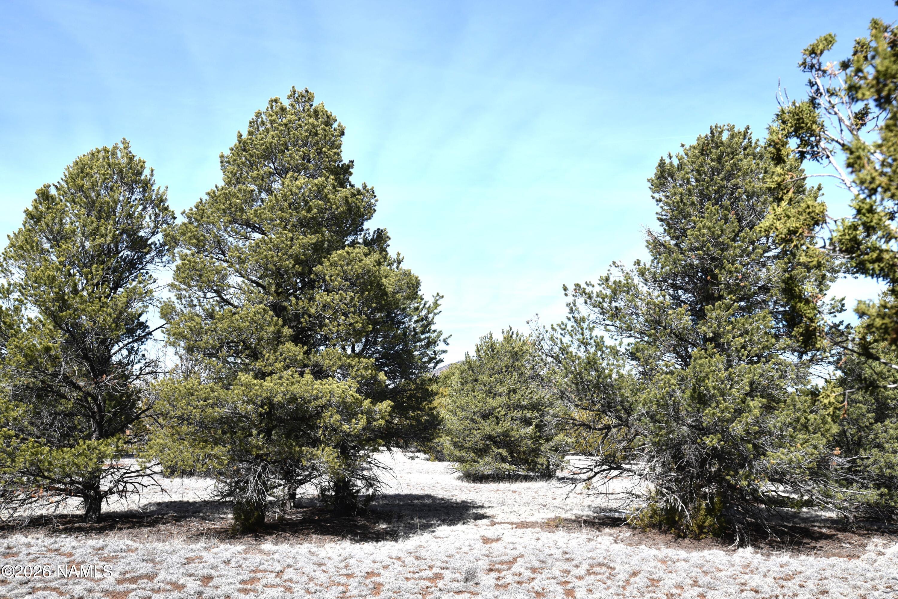 7590 Daisy Drive Williams, AZ 86046 - Photo 1 of 21 DSC_4886