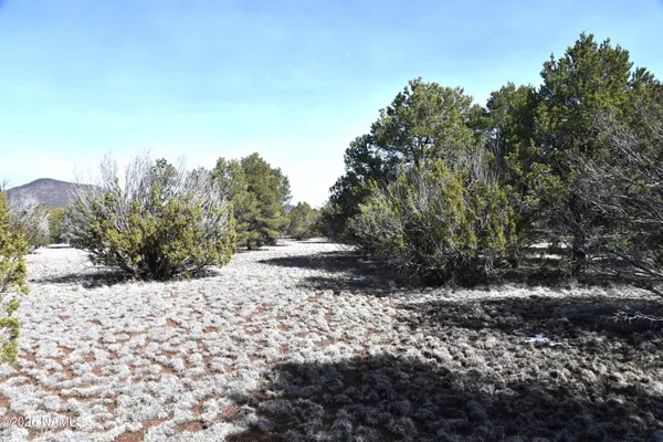 a view of a road with a trees