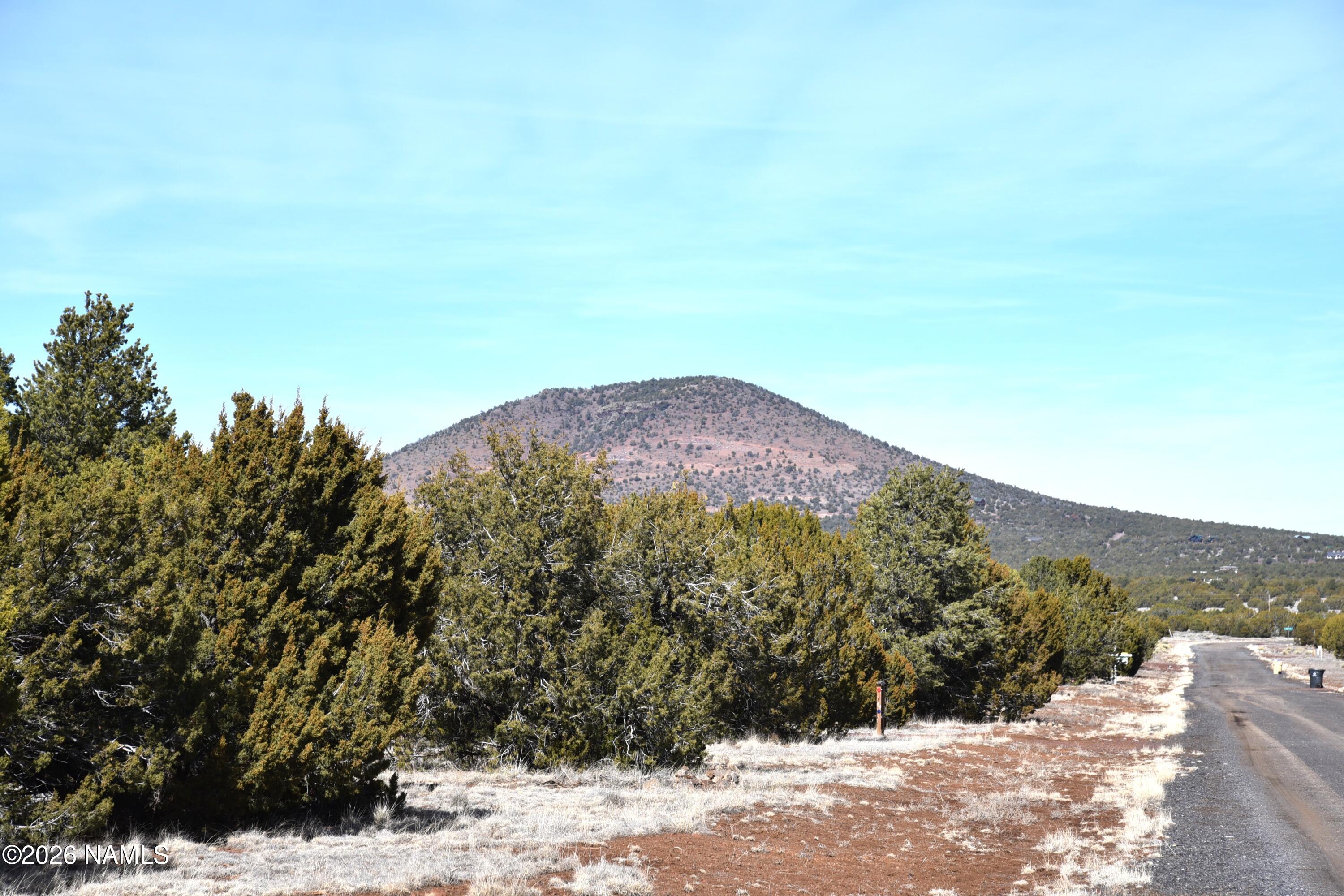 7590 Daisy Drive Williams, AZ 86046 - Photo 17 of 21 DSC_4878