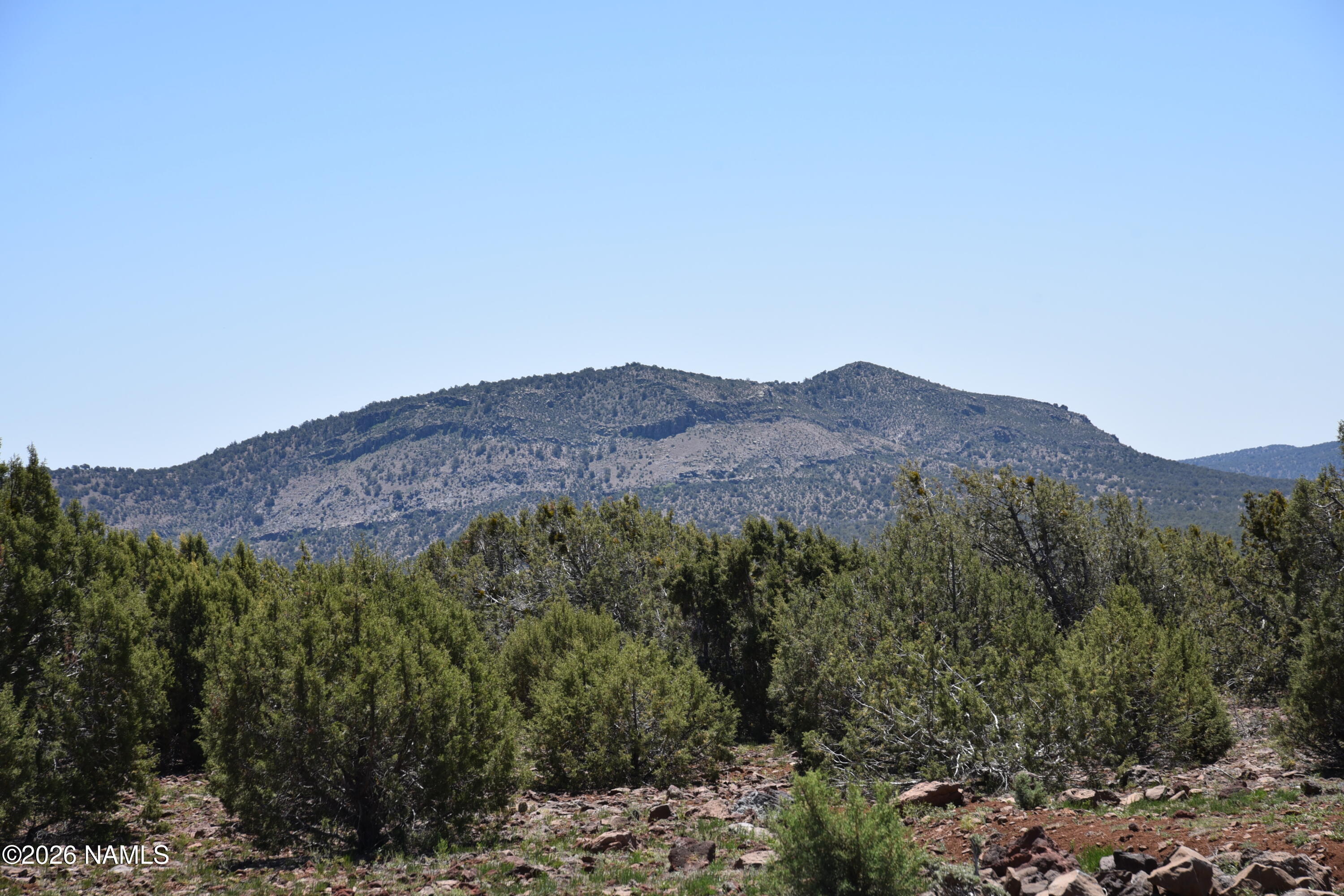 7590 Daisy Drive Williams, AZ 86046 - Photo 19 of 21 a view of a dry field