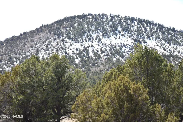 a view of a building