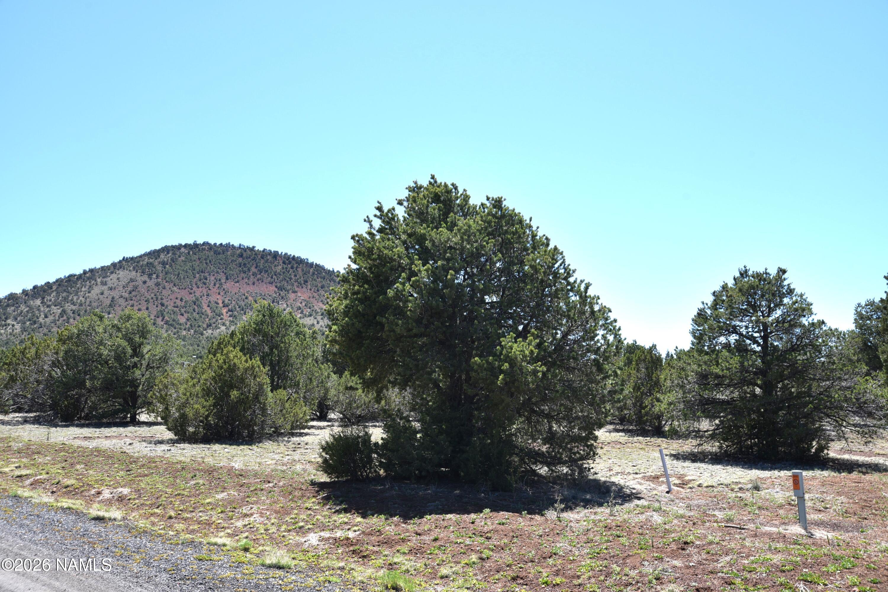 7590 Daisy Drive Williams, AZ 86046 - Photo 8 of 21 a view of a road with a tree in the background