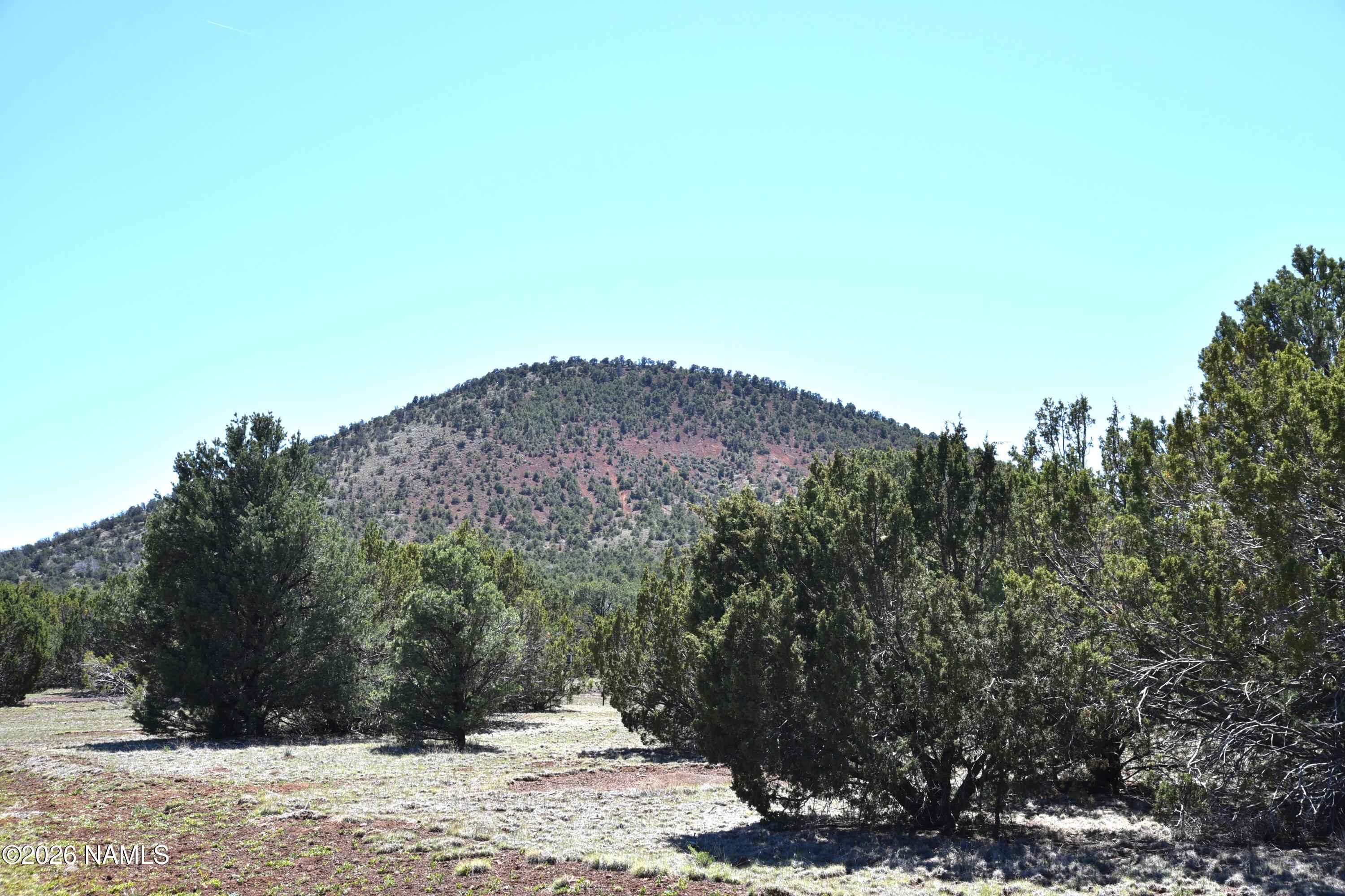 7590 Daisy Drive Williams, AZ 86046 - Photo 9 of 21 DSC_5207
