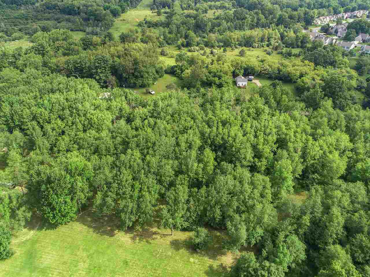V/l Ridgeway Road Jackson, MI 49203 - Photo 3 of 11 Photo 3