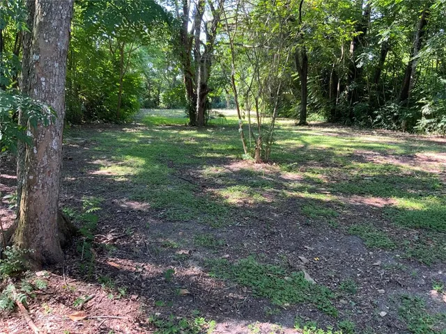 a backyard of a house with lots of green space