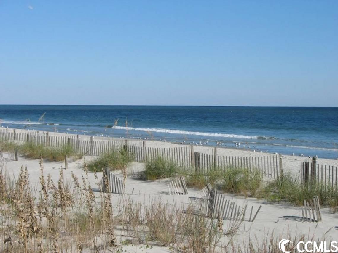 1017 Plantation Drive Surfside Beach, SC 29575 - Photo 38 of 40