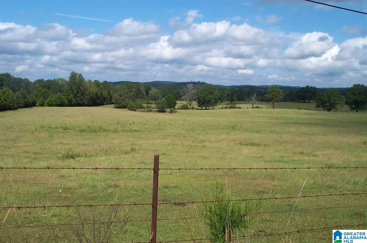 1910 Peaceful Valley Road, Unit 1 Eastaboga, AL 36260 - Photo 4 of 9