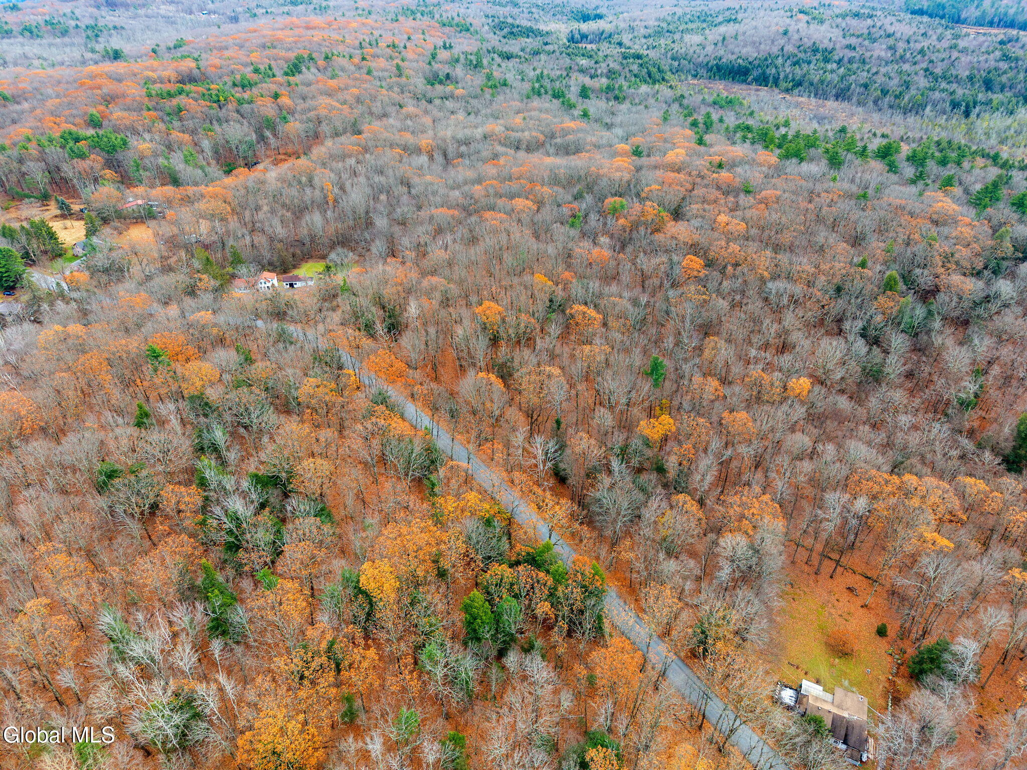 517 Potter Hill Road Petersburgh, NY 12138 - Photo 12 of 39 49-517PotterHillRd_ext_19