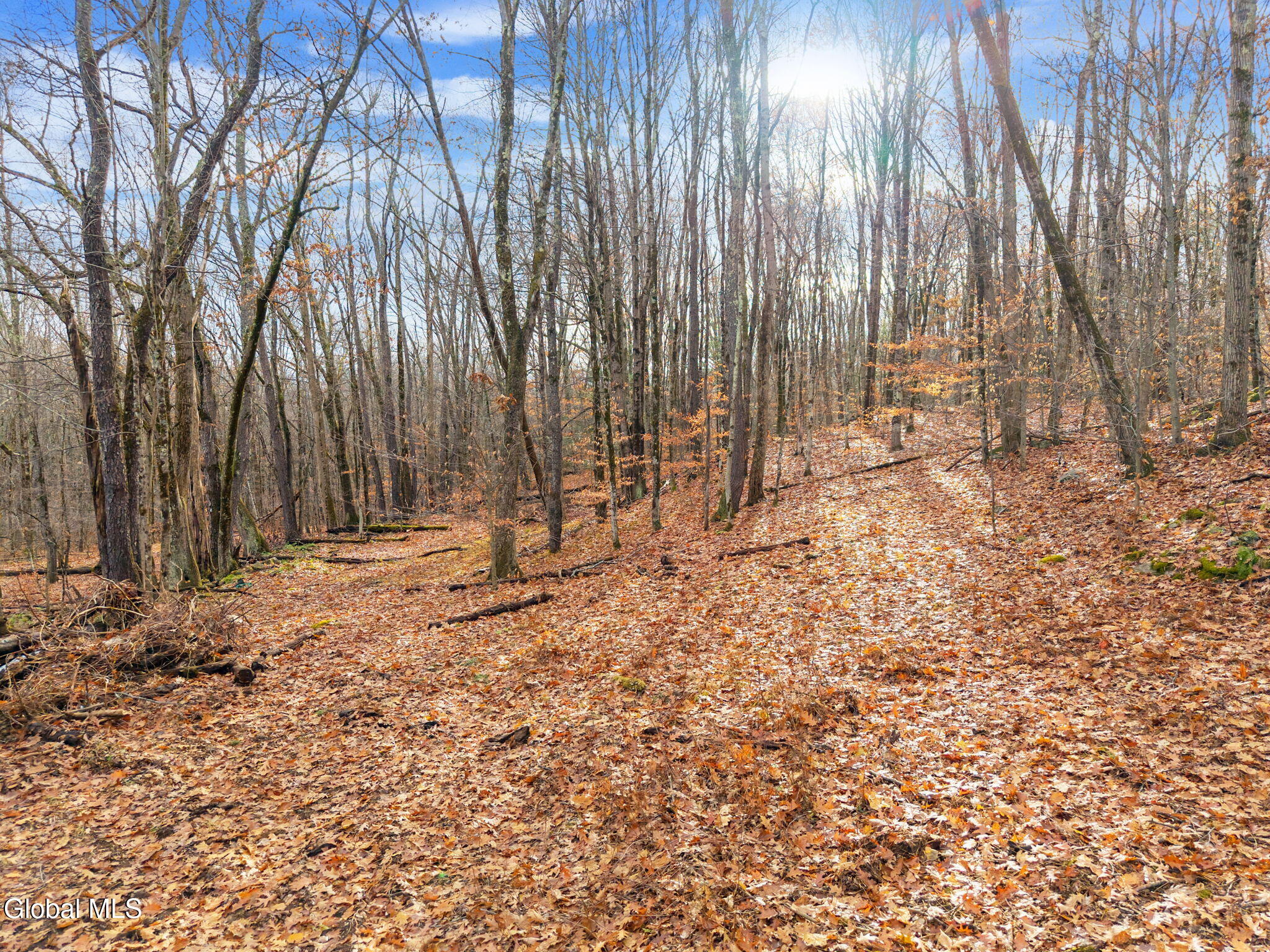 517 Potter Hill Road Petersburgh, NY 12138 - Photo 36 of 39 51-517PotterHillRd_ext_21