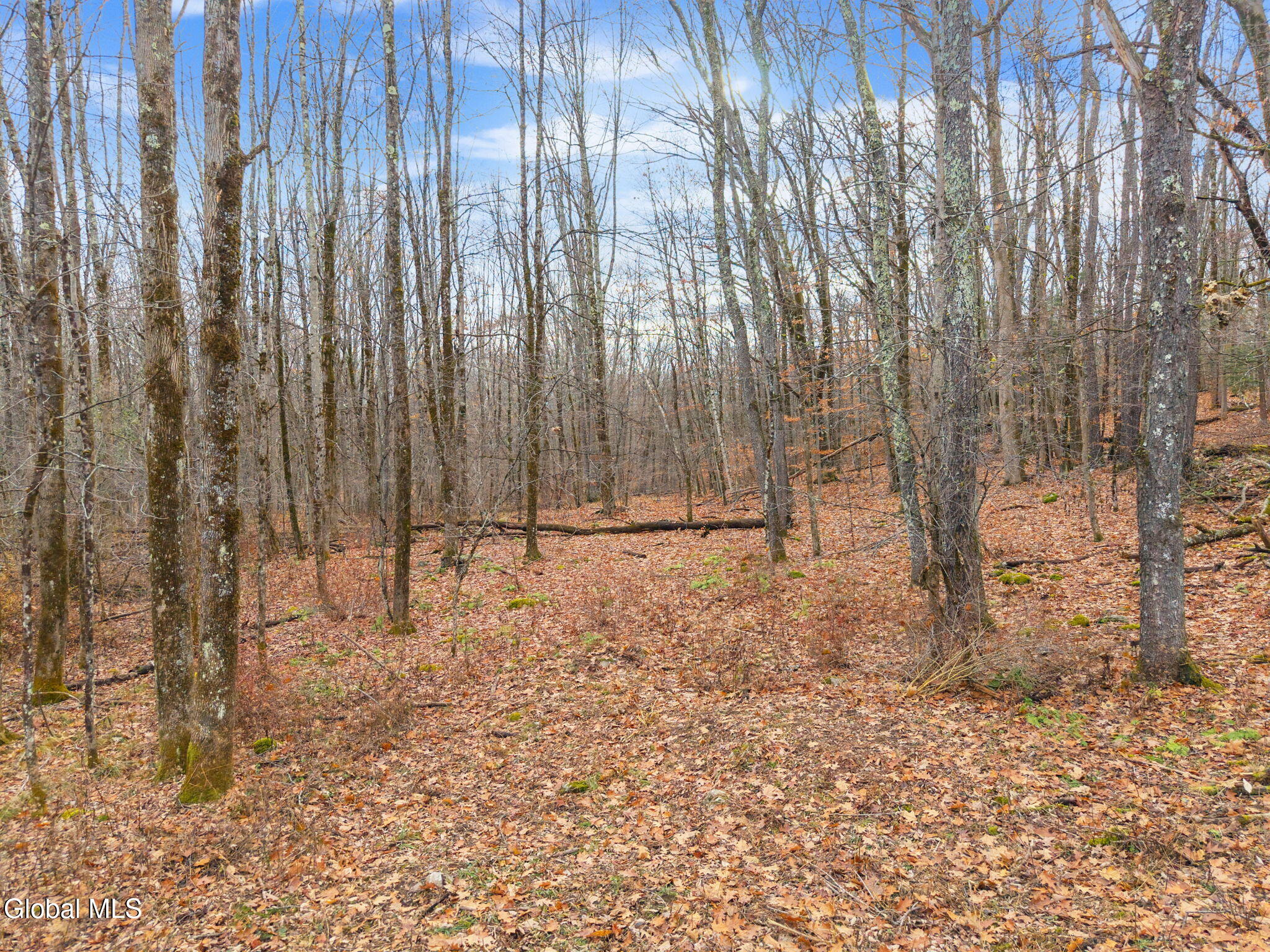 517 Potter Hill Road Petersburgh, NY 12138 - Photo 38 of 39 53-517PotterHillRd_ext_23