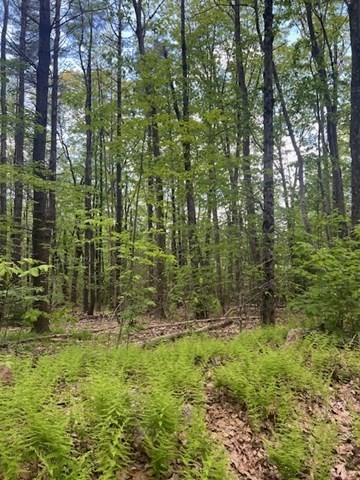 Lot A Ragged Hill Road Hubbardston, MA 01452 - Photo 2 of 5 Gallery Image 2