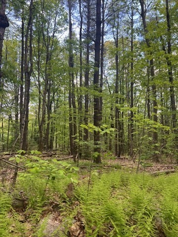 Lot A Ragged Hill Road Hubbardston, MA 01452 - Photo 3 of 5 Gallery Image 3