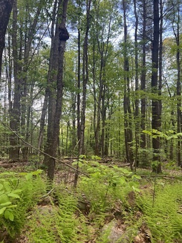 Lot A Ragged Hill Road Hubbardston, MA 01452 - Photo 4 of 5 Gallery Image 4