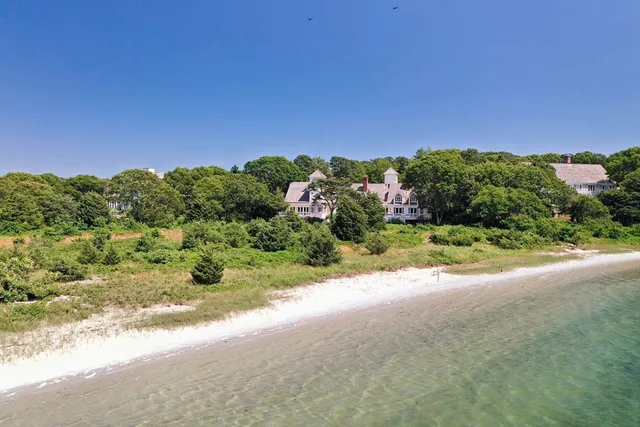 a view of a garden with a building in the background