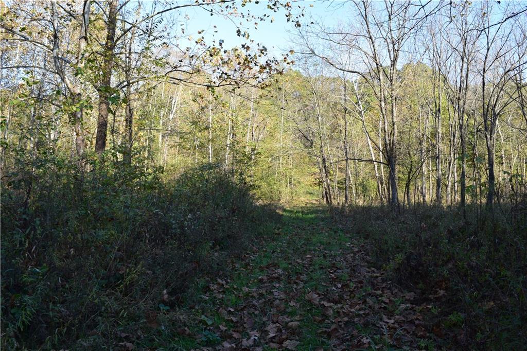 0 Camp Branch Road Bloomfield, IN 47424 - Photo 2 of 6