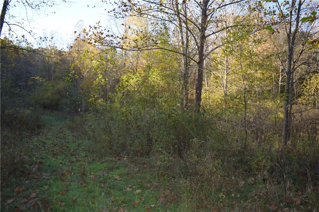 0 Camp Branch Road Bloomfield, IN 47424 - Photo 3 of 6