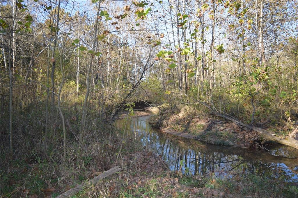 0 Camp Branch Road Bloomfield, IN 47424 - Photo 4 of 6