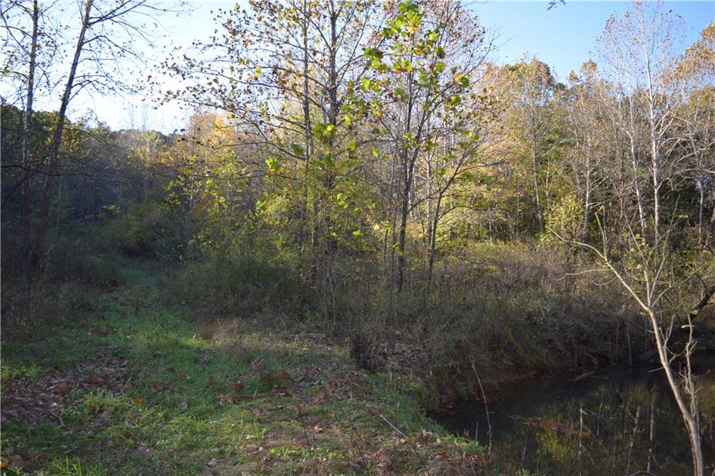 0 Camp Branch Road Bloomfield, IN 47424 - Photo 5 of 6