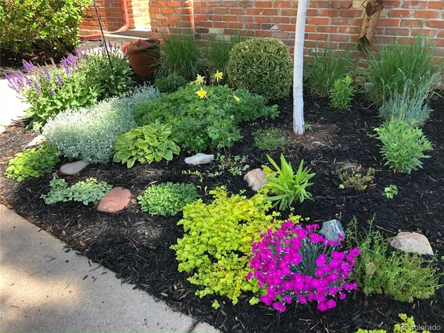 a view of a flower in a garden