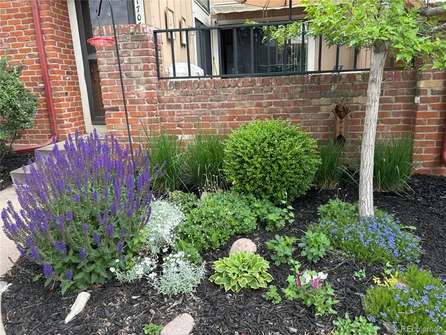 a view of a backyard with plants